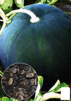 На развес Арбуз "Красень" Agro-Market цена за 6г (22384)