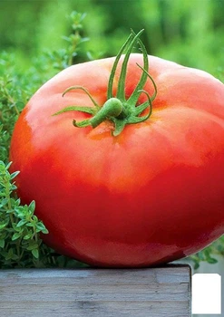 Томат "Микадо красный" (в банке) Agro-Market 3г (44904)