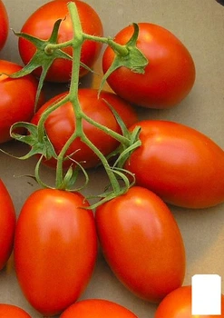 Томат "Сливки-ленивки" Agro-Market 0.2г (35840)