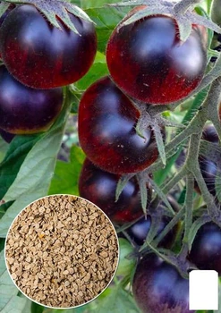 На вагу Томат "Чорна тінь" Agro-Market ціна за 1г (86043)