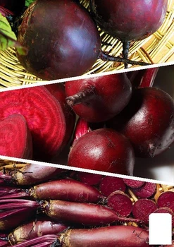 На развес Свекла столовая "Смесь лучших популярных сортов" Agro-Market цена за 15г (45535)