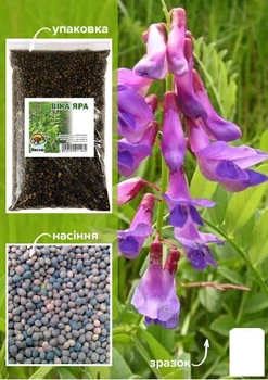 Вика яровая ТМ "Весна" 1кг (13701)