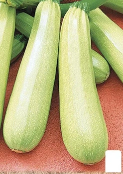 Кабачок "Одеський кущовий" (у банку) Agro-Market 100г (52419)