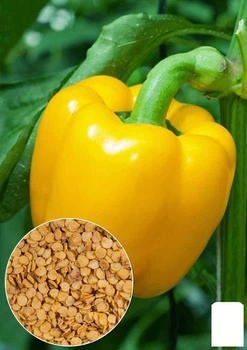 На развес Перец "Калифорнийское чудо желтое" Agro-Market цена за 1г (35719)