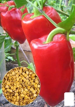 На развес Перец "Подарок молдовы" Agro-Market цена за 1г (13347)