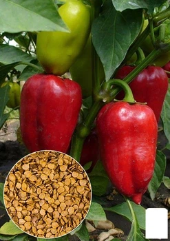 На развес Перец "Ожаровский" Agro-Market цена за 1г (22039)