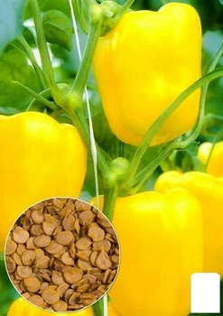 На развес Перец "Желтое чудо" Agro-Market цена за 1г (22298)