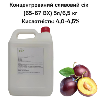 Концентрированный сок Eva сливовый 65-67 ВХ канистра 5л/6,5 кг