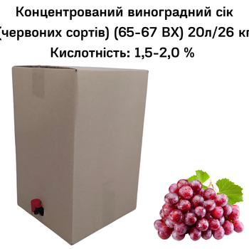 Концентрований виноградний сік Eva червоних сортів 65-67 ВХ BAG IN BOX 20л/26 кг