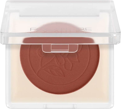 Бархатные румяна - Focallure Perfection Velvet Blush 501 (3.7g) (980481-1267460-2)