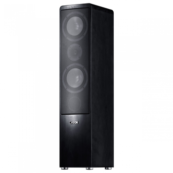 Підлогова Акустика Canton Ergo 670 DC Black (пара)