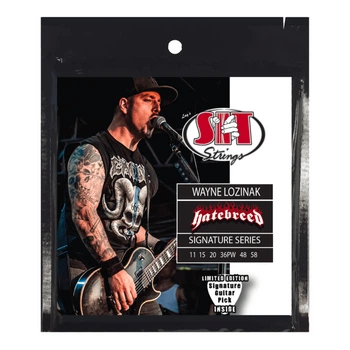 Струни для електрогітар SIT STRINGS SS-S1158WL (229944)