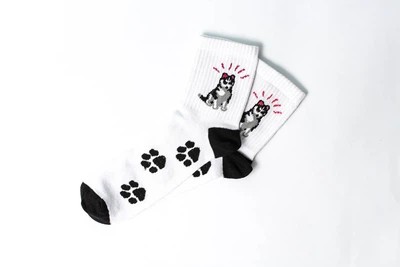 Носки Rock'n'socks Хаски One size (37-43)