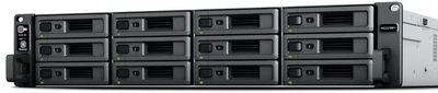 Synology (RS2423+)