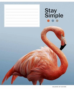 Набор тетрадей ученических Школярик 3051 Stay simple 12 листов в линию 30 шт (012-3051L)