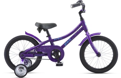 Велосипед прогулянковий Jamis Miss Daisy 16″ Grape (07-3606-GP)