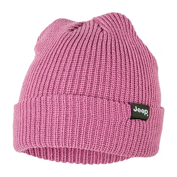 Мужская Шапка JEEP RIBBED TRICOT HAT WITH CUFF J22W Фиолетовый One size (O102600-P490)