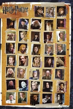 Плакат Harry Potter 7 - Characters (Постер) (8592839040910)