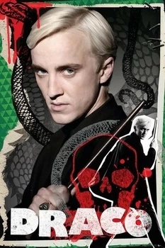 Плакат Harry Potter - Draco (Постер) (5028486489466)