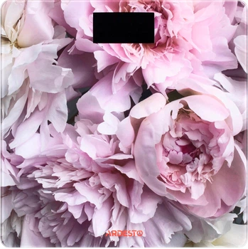 Веси для підлоги ARDESTO SCB-965PEONIES