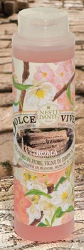 Гель для душа Nesti Dante Dolce Vivere Roma Рим 300 мл