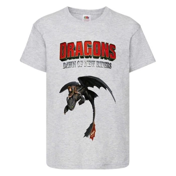 Футболка детская Как приручить дракона (DRAGONS) серая (DRAGONS-001-gray) 164 см