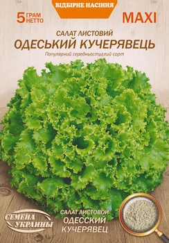 Семена Салат Одесский кучерявец, листовой, 5 г (Семена Украины)