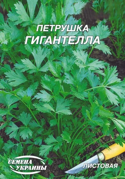 Насіння Петрушка Гігантелла, листова, 20 г (Насіння України)