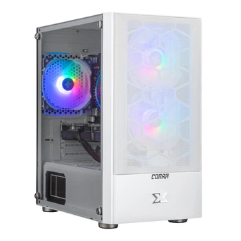 Персональный компьютер COBRA Advanced (I11F.16.H2S2.165S.A4429)