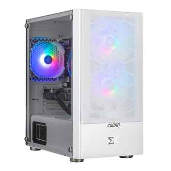 Персональный компьютер COBRA Advanced (I11F.16.H2S9.165S.A4437)