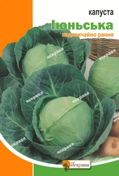 Насіння Яскрава Капуста білокачанна Іюньська 5 г (33855)