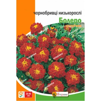 Насіння Яскрава Чорнобривці низькорослі Болеро 5 г (42725)
