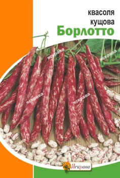 Семена Яскрава Фасоль Борлотто 10 г (21176)