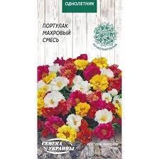 Насіння Портулак Махрова суміш Насіння України 0.1 г
