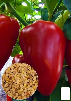 На развес Перец "Оленка" Agro-Market цена за 1г (46102)