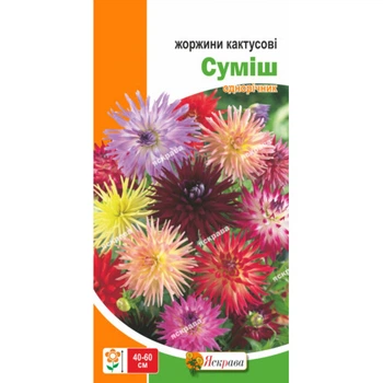 Семена Яскрава Георгины кактусовые смесь 0.2 г (55409)