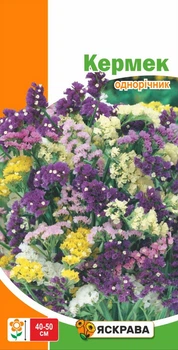 Семена Яскрава Кермек (Лимониум) смесь 0.1 г (55412)