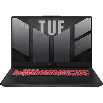 Ноутбук Asus TUF Gaming A17 FA707RM (FA707RM-ES73) CUSTOM [87936]