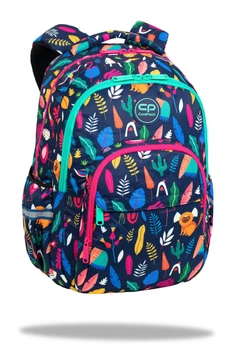 Рюкзак Coolpack Basic Plus LADY COLOR 43 х 31 х 19 см 24 л (F003702)
