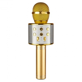 Радиомикрофон + караоке ws 858 Золотой 100Hz 10кГц (SN9QI6567)