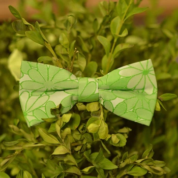 Метелик Bow Tie House Basic салатовий в квіточку 06199