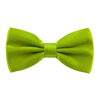 Бабочка Bow Tie House Basic яблочно-зеленая классическая 01803