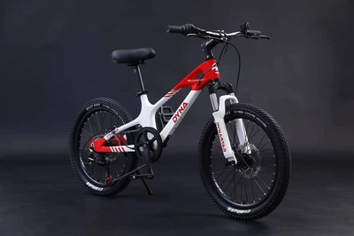 Подростковый велосипед Dyna Star Student M1 20 дюймов Бело-Красный