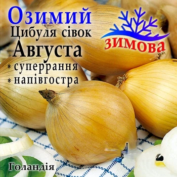 Лук севок озимый Августа (Augusta) Голландия 1 кг
