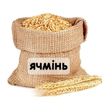 Семена Ячмень посевной, от 1 кг на развес