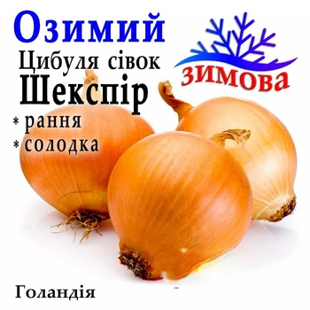 Лук севок озимый Шекспир, Голландия, 1 кг