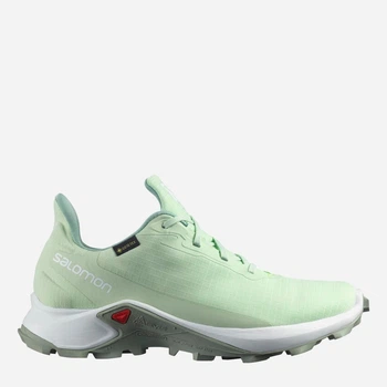 Buty do biegania damskie Salomon Alphacross 3 GTX 416013 38.5 (7US) 24 cm Jasnozielone (193128904678)