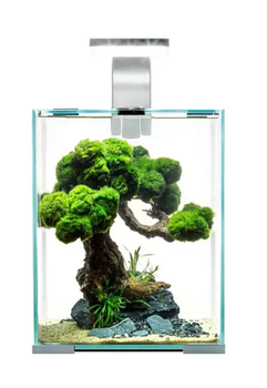 Акваріумний набір Aquael «Shrimp Set Smart» білий, прямий (10 л) (122977)