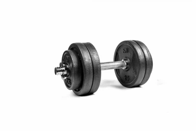 Гантель RN-Sport разборная металлическая 13,5 кг (RN_QTR13)