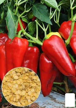 На развес Перец "Красный бивень" Agro-Market цена за 1г (51655)